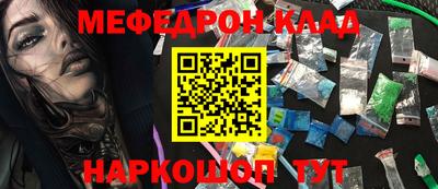 дживик Моздок